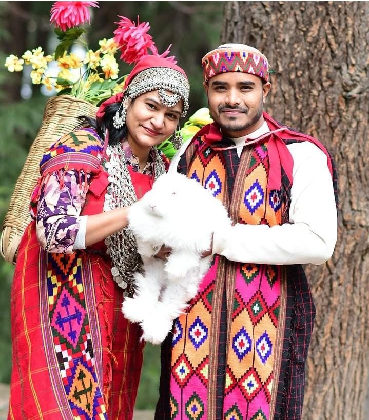 Himachal Honeymoon Tour
